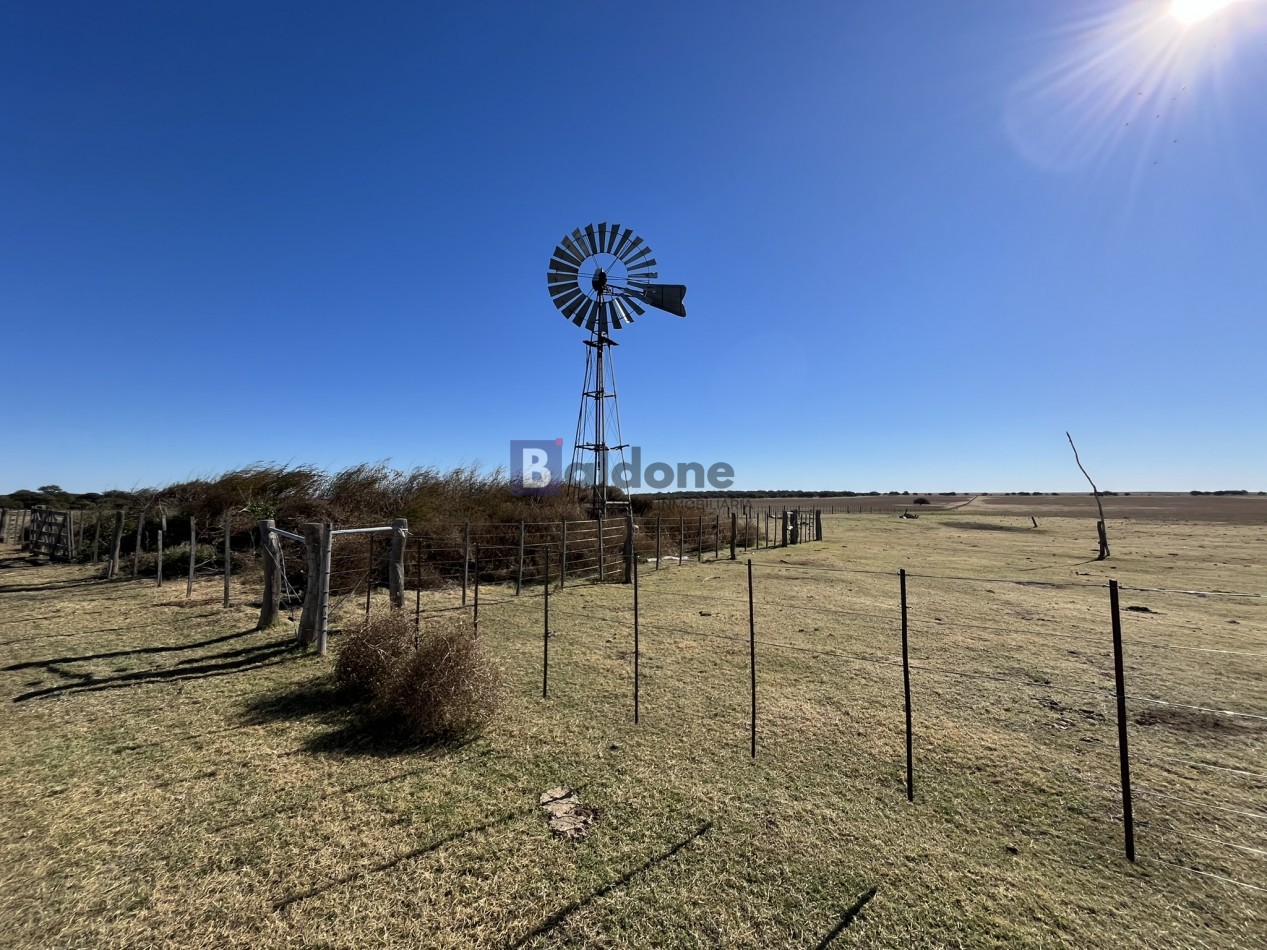 EN VENTA CAMPO 600 HAS - DPTO CAPITAL LA PAMPA