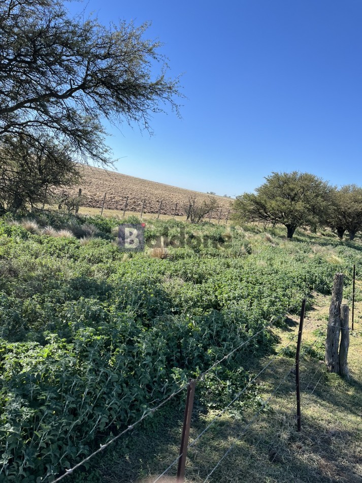 EN VENTA CAMPO 600 HAS - DPTO CAPITAL LA PAMPA