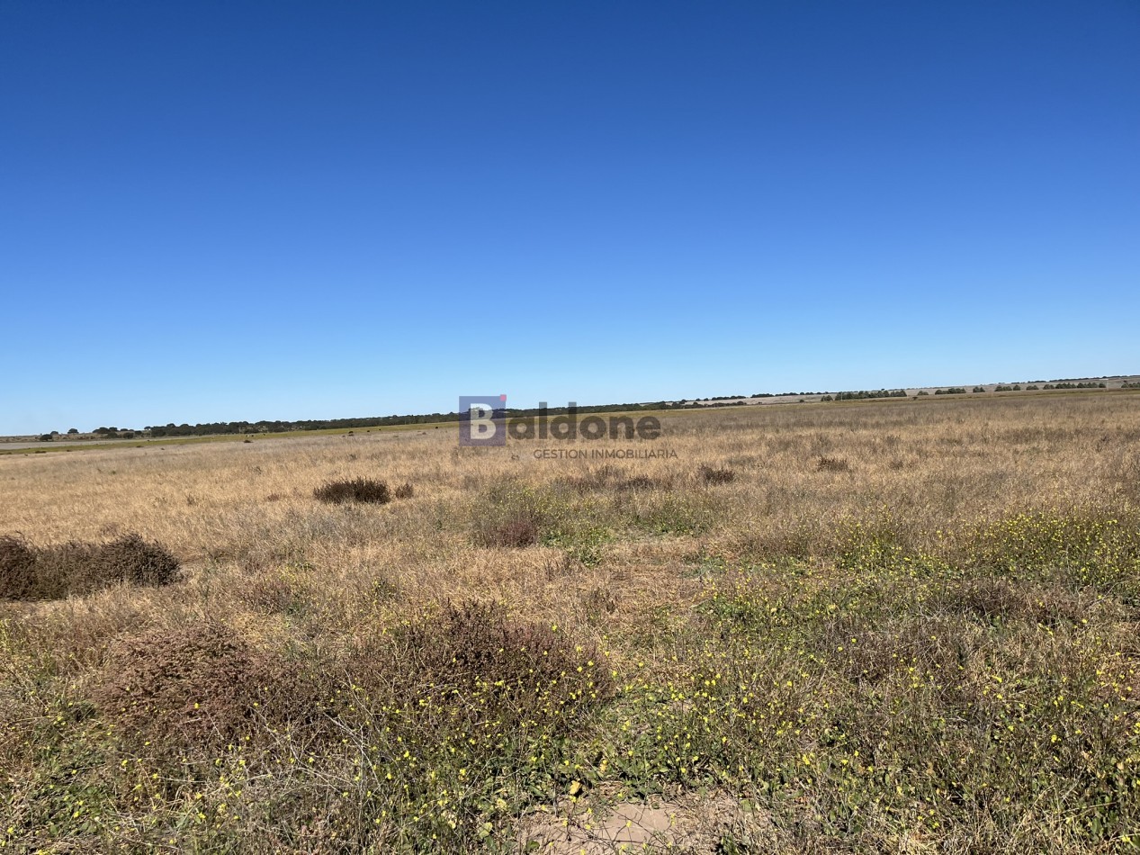 EN VENTA CAMPO 600 HAS - DPTO CAPITAL LA PAMPA