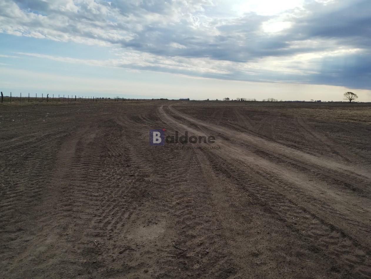 VENTA CAMPO 120 HAS - DPTO. MARACO - LA PAMPA