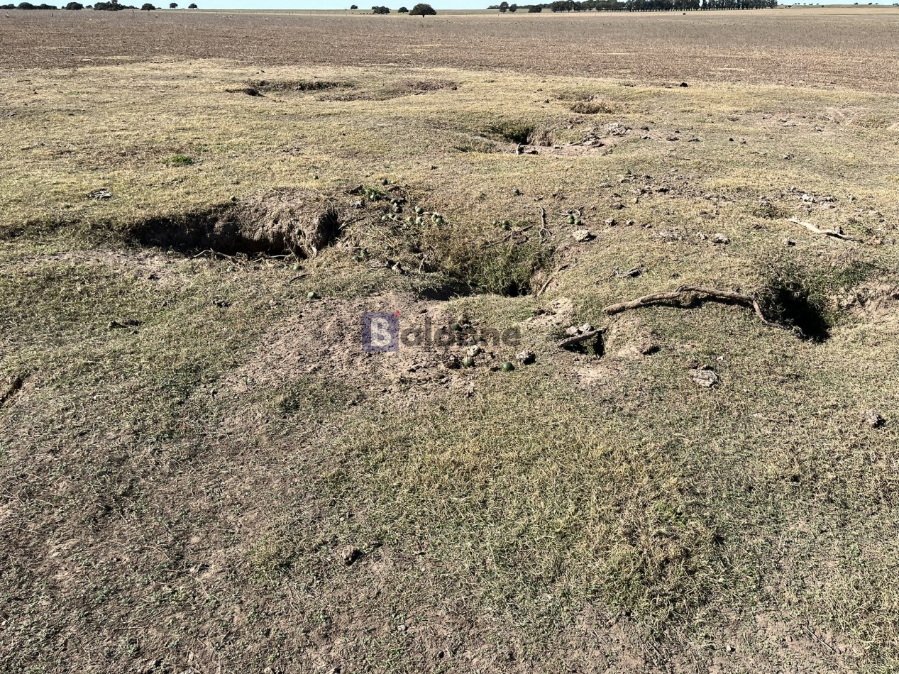 EN VENTA CAMPO 600 HAS - DPTO CAPITAL LA PAMPA