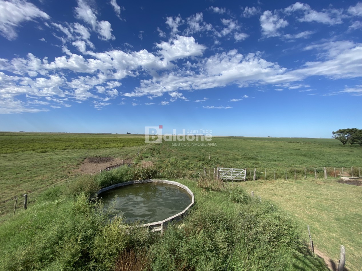 EN VENTA CAMPO 200 HECAREAS - DEPARTAMENTO REALICO - LA PAMPA