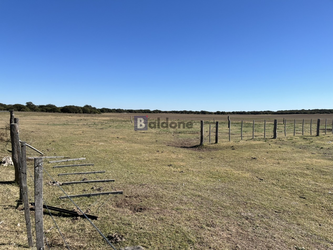 EN VENTA CAMPO 600 HAS - DPTO CAPITAL LA PAMPA