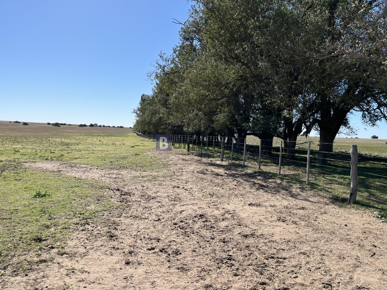EN VENTA CAMPO 600 HAS - DPTO CAPITAL LA PAMPA