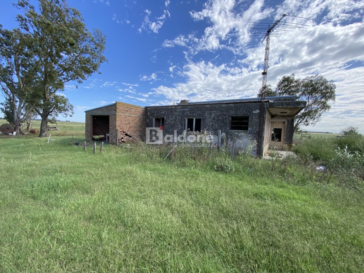 EN VENTA CAMPO 200 HECAREAS - DEPARTAMENTO REALICO - LA PAMPA