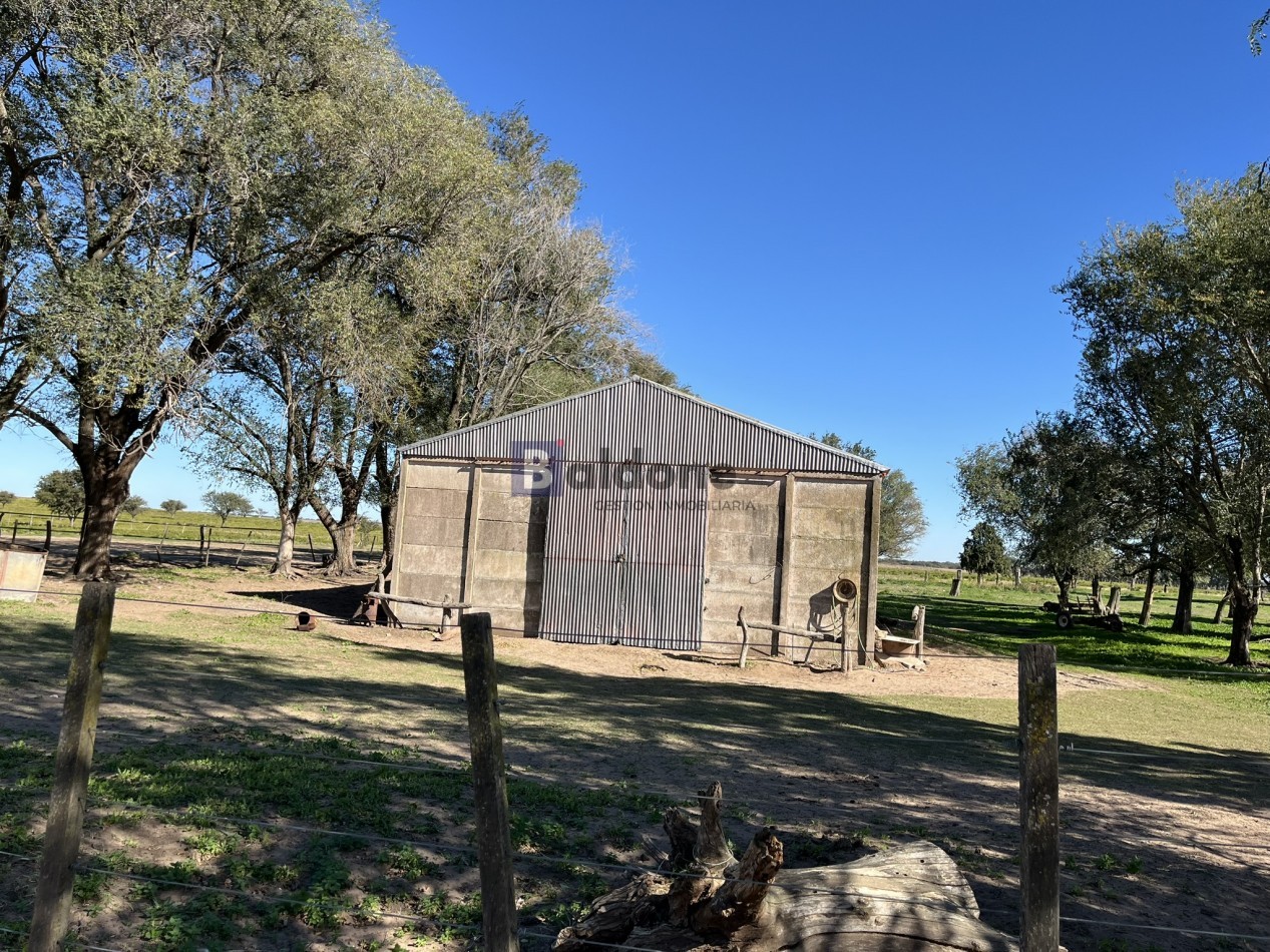 EN VENTA CAMPO 600 HAS - DPTO CAPITAL LA PAMPA