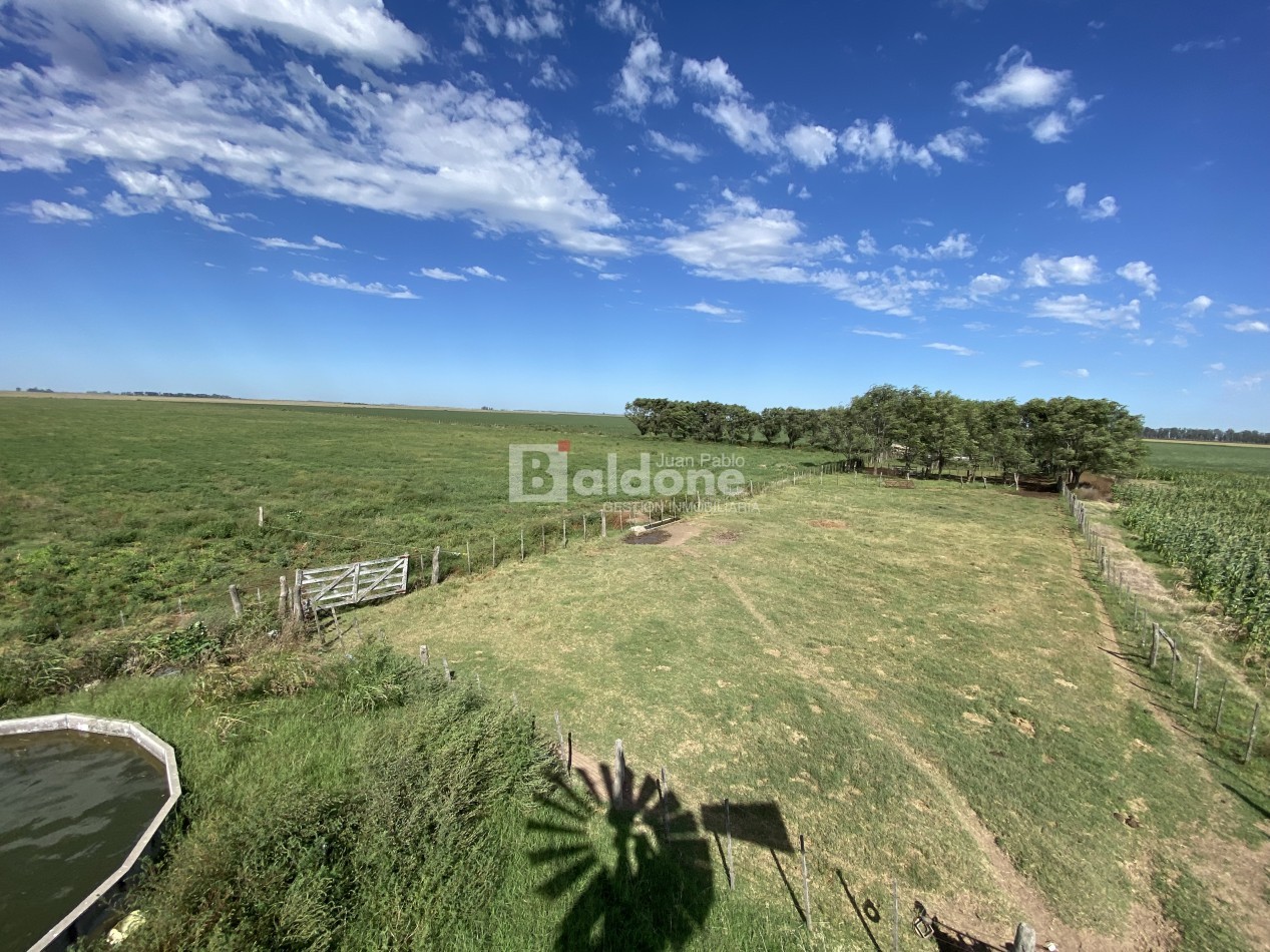 EN VENTA CAMPO 200 HECAREAS - DEPARTAMENTO REALICO - LA PAMPA