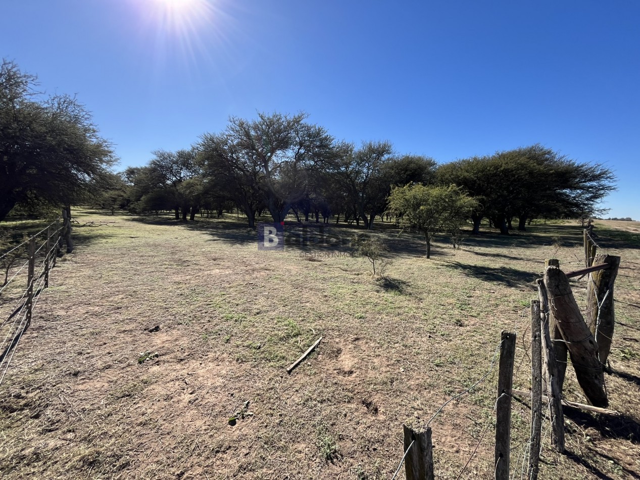 EN VENTA CAMPO 600 HAS - DPTO CAPITAL LA PAMPA
