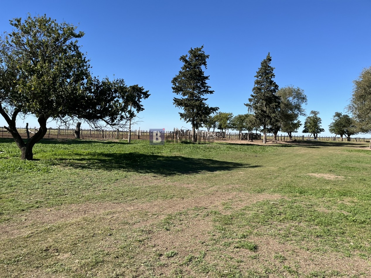 EN VENTA CAMPO 600 HAS - DPTO CAPITAL LA PAMPA