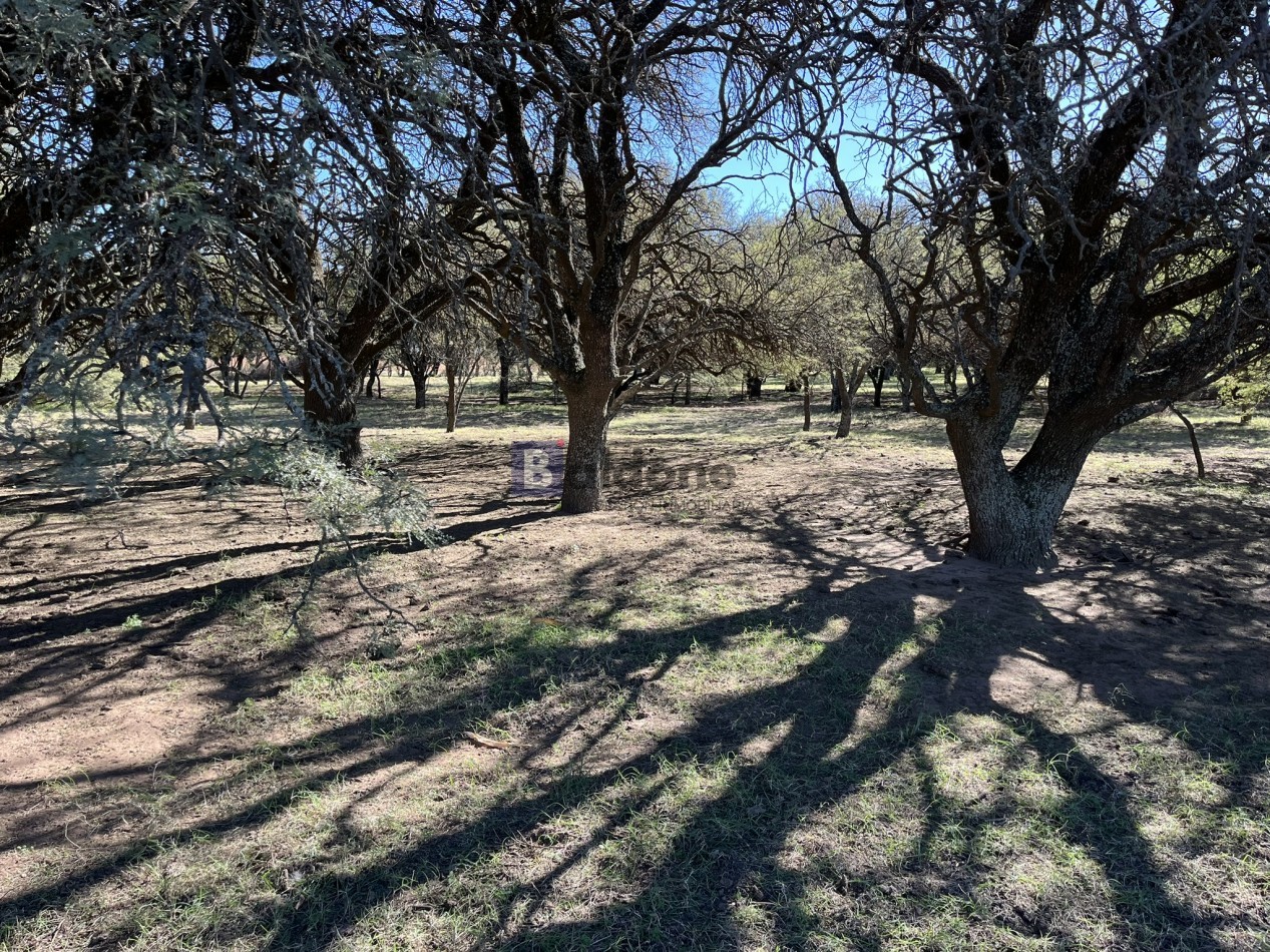 EN VENTA CAMPO 600 HAS - DPTO CAPITAL LA PAMPA