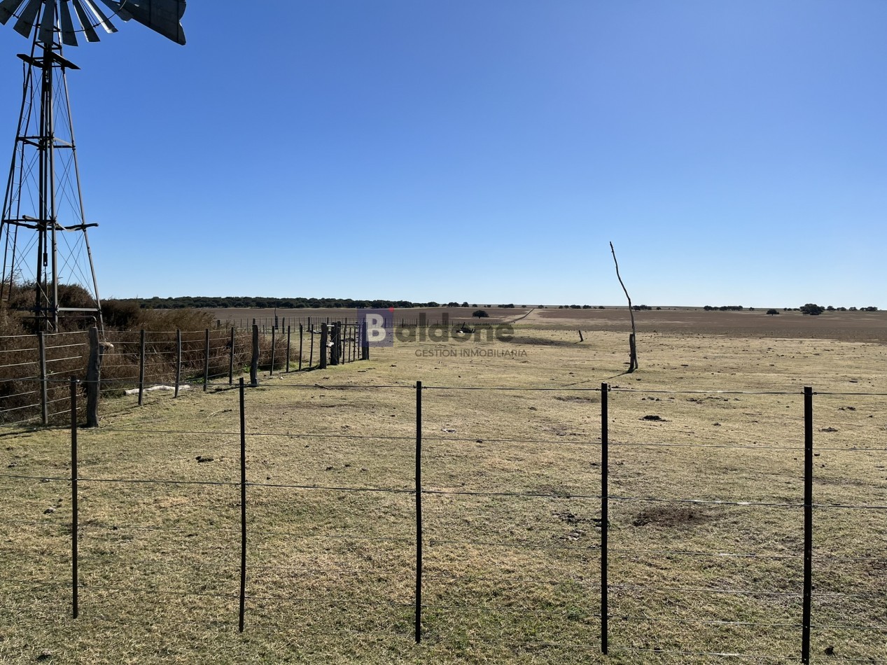 EN VENTA CAMPO 600 HAS - DPTO CAPITAL LA PAMPA