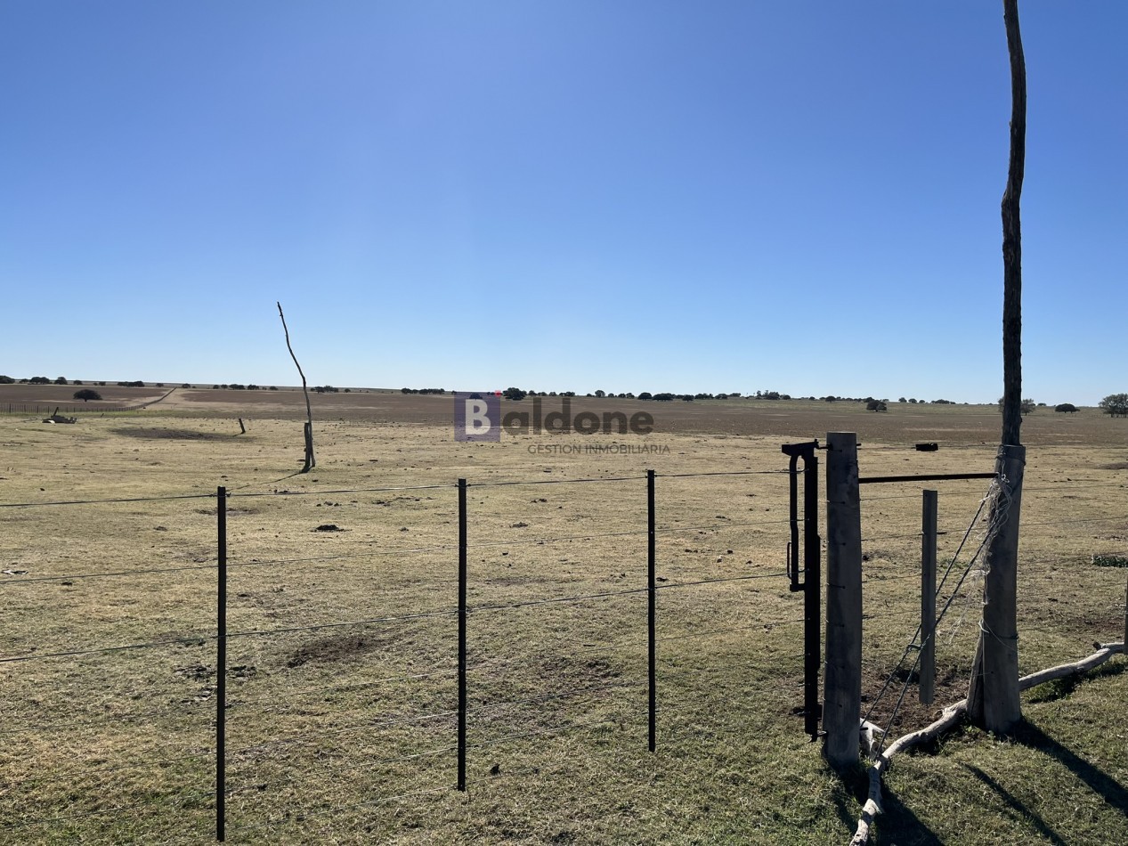EN VENTA CAMPO 600 HAS - DPTO CAPITAL LA PAMPA