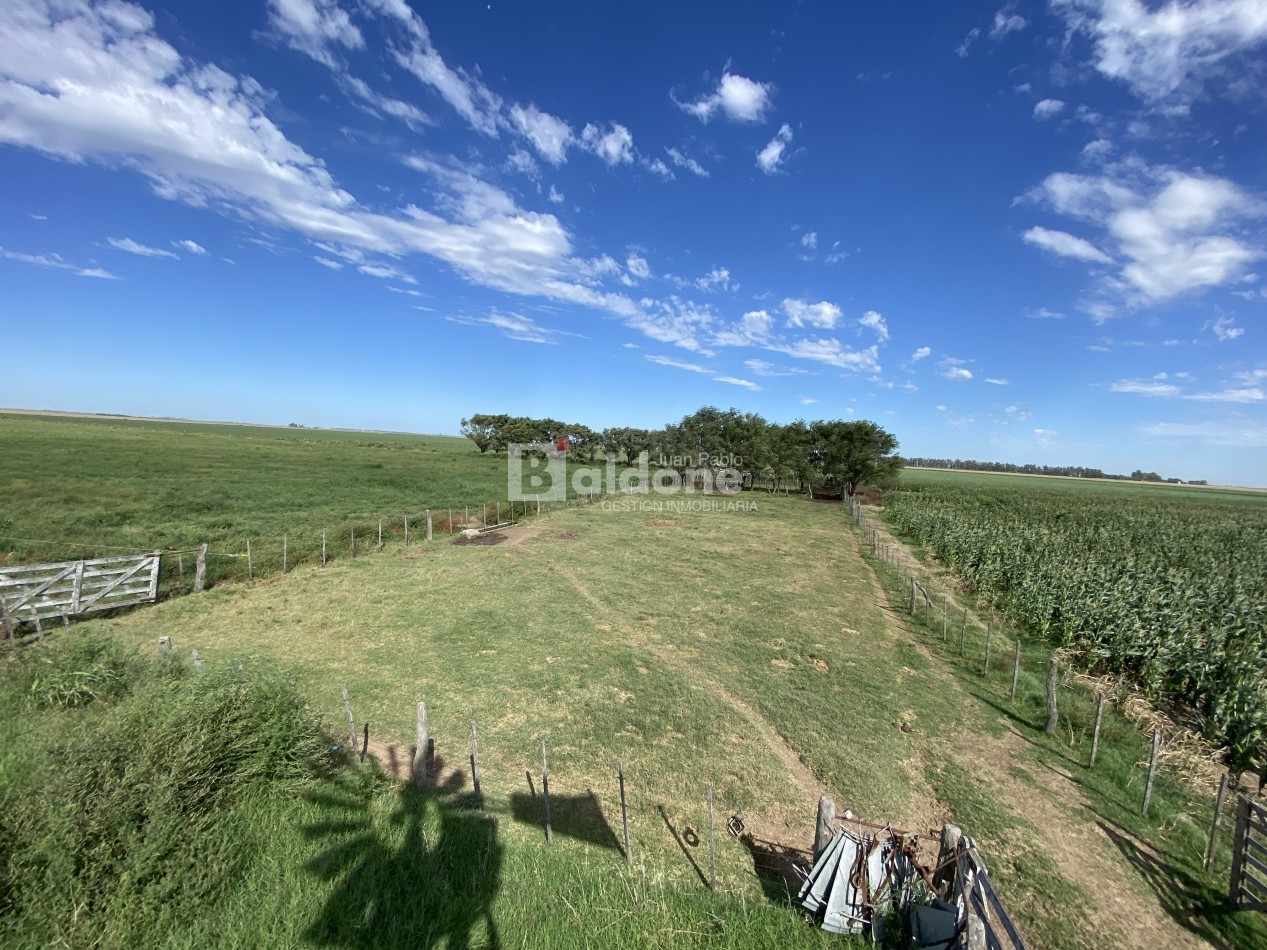 EN VENTA CAMPO 200 HECAREAS - DEPARTAMENTO REALICO - LA PAMPA