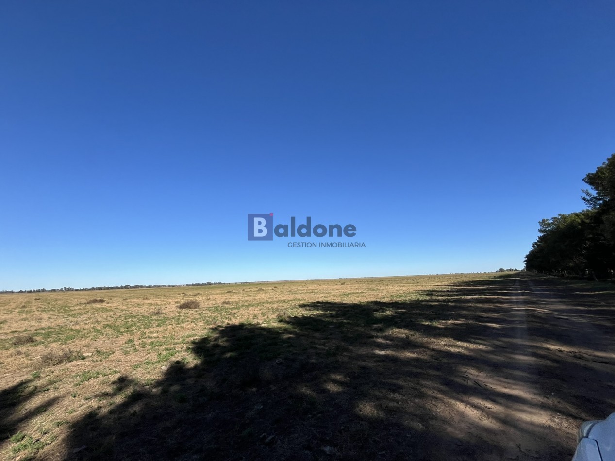 EN VENTA CAMPO 600 HAS - DPTO CAPITAL LA PAMPA