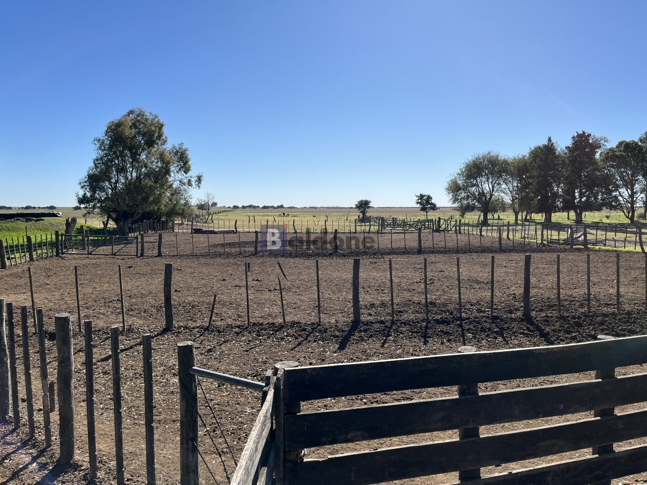 EN VENTA CAMPO 600 HAS - DPTO CAPITAL LA PAMPA