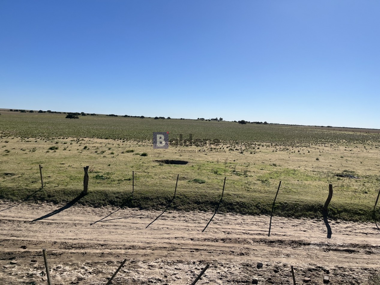 EN VENTA CAMPO 600 HAS - DPTO CAPITAL LA PAMPA