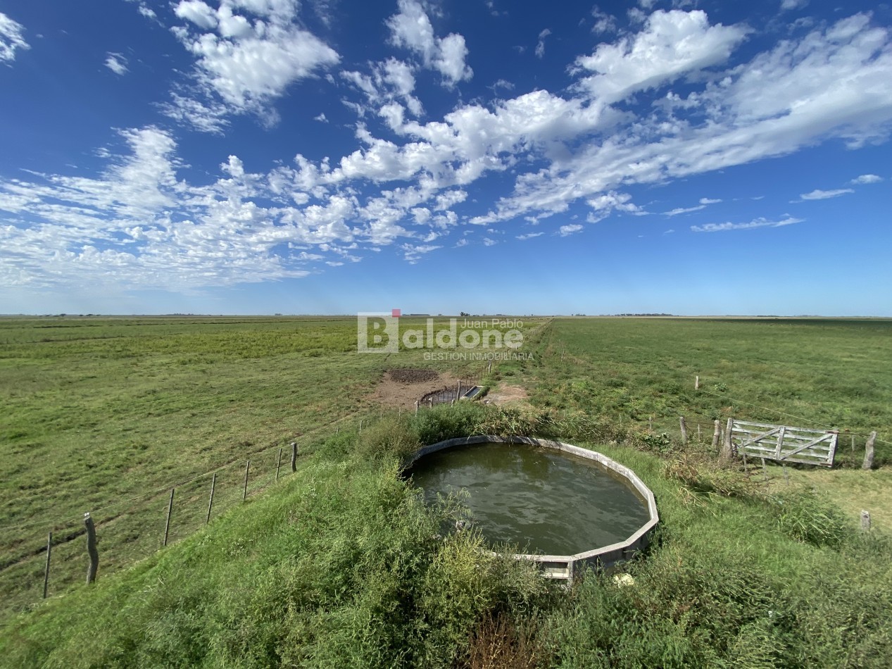 EN VENTA CAMPO 200 HECAREAS - DEPARTAMENTO REALICO - LA PAMPA