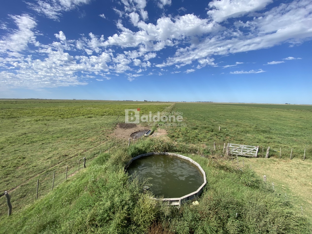EN VENTA CAMPO 200 HECAREAS - DEPARTAMENTO REALICO - LA PAMPA