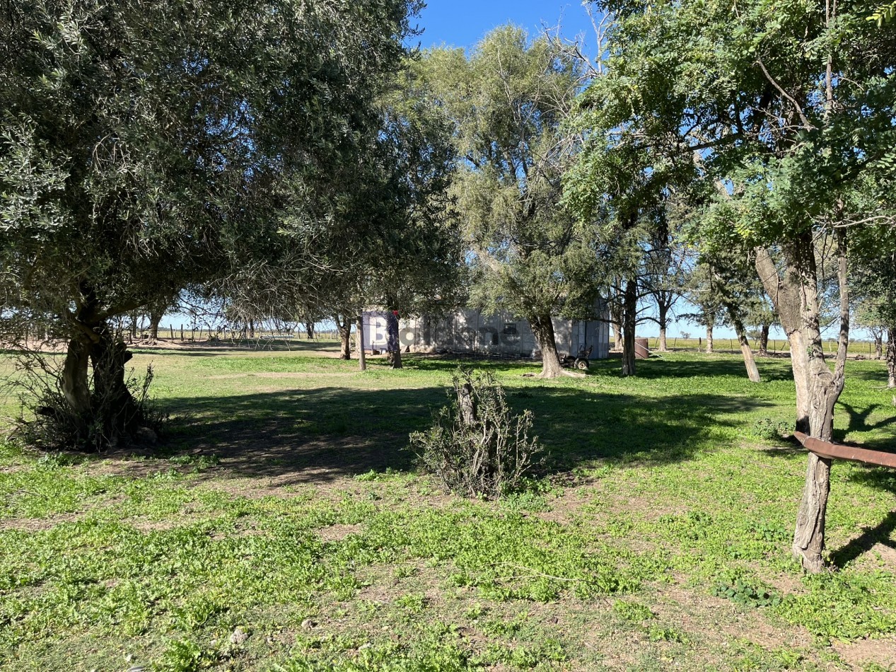 EN VENTA CAMPO 600 HAS - DPTO CAPITAL LA PAMPA