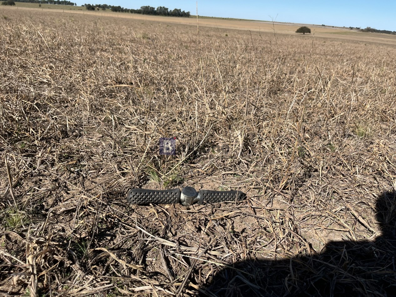 EN VENTA CAMPO 600 HAS - DPTO CAPITAL LA PAMPA