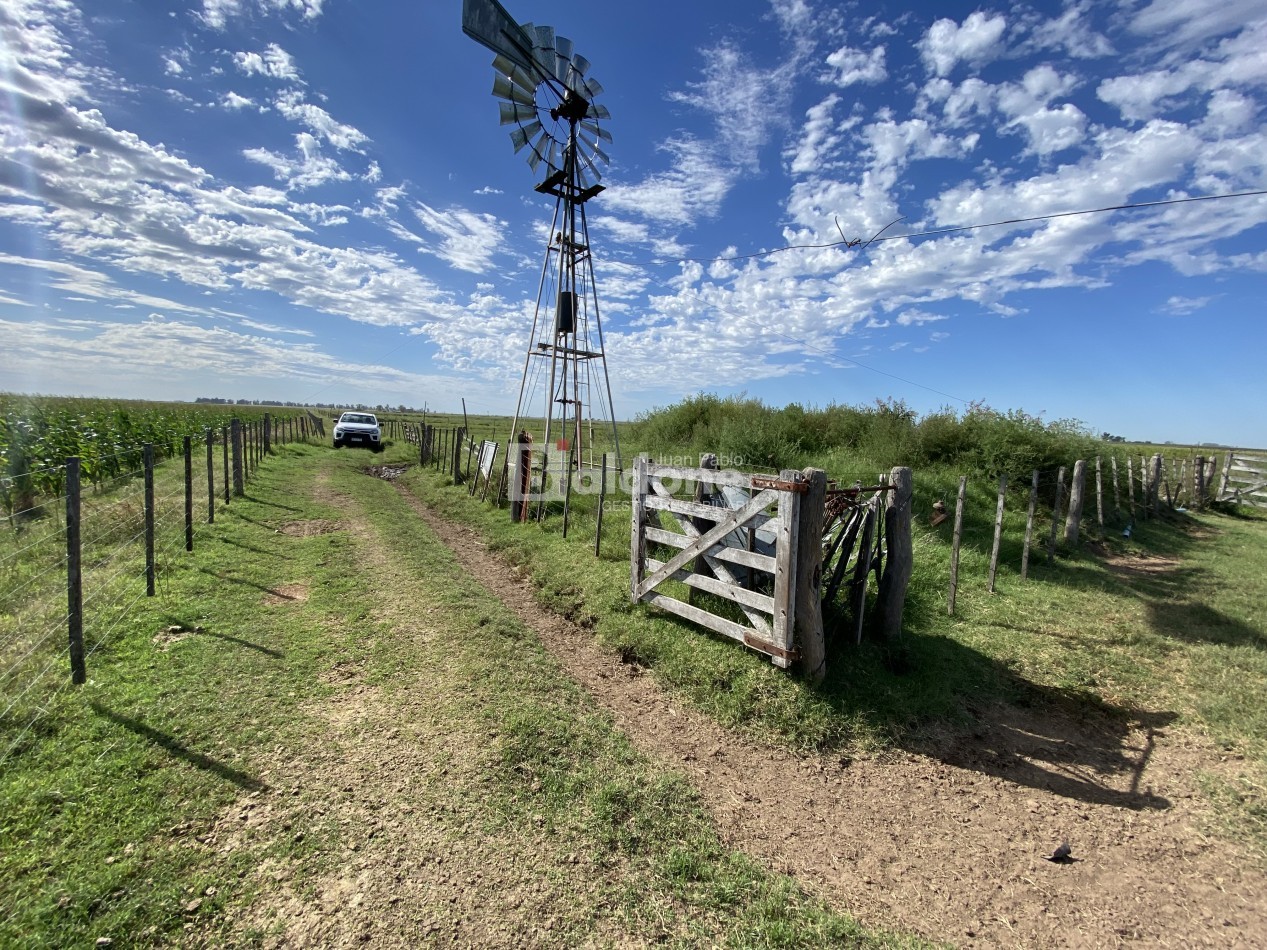 EN VENTA CAMPO 200 HECAREAS - DEPARTAMENTO REALICO - LA PAMPA
