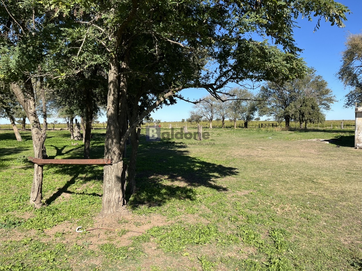 EN VENTA CAMPO 600 HAS - DPTO CAPITAL LA PAMPA