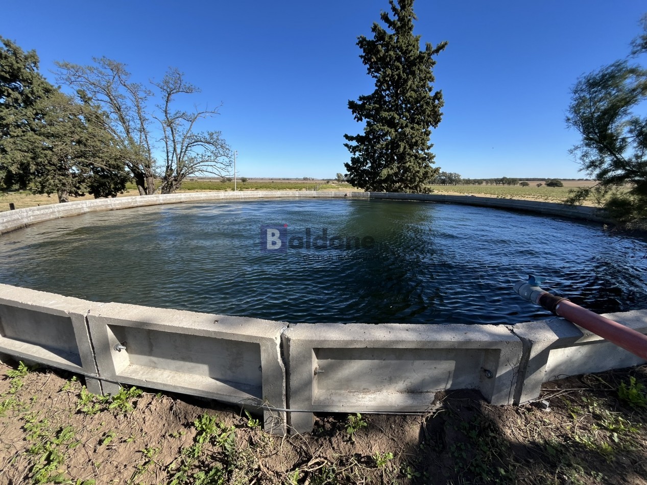 EN VENTA CAMPO 600 HAS - DPTO CAPITAL LA PAMPA