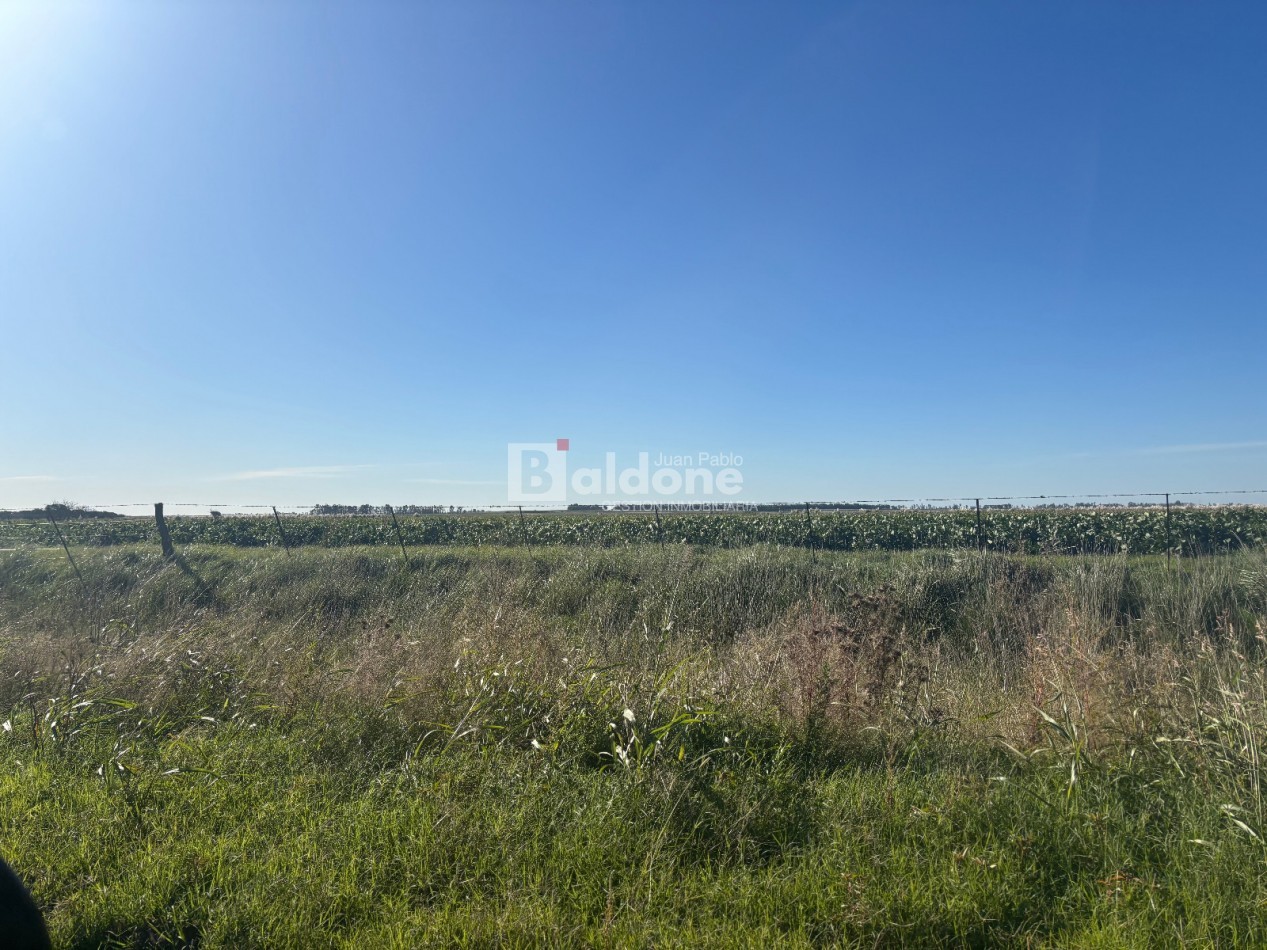 EN VENTA CAMPO 200 HECAREAS - DEPARTAMENTO REALICO - LA PAMPA