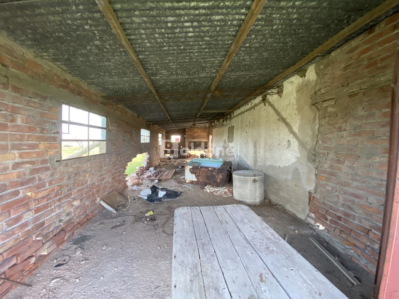 EN VENTA CAMPO 200 HECAREAS - DEPARTAMENTO REALICO - LA PAMPA