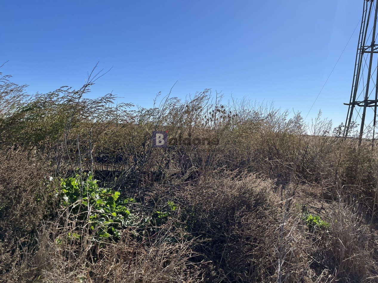 EN VENTA CAMPO 600 HAS - DPTO CAPITAL LA PAMPA