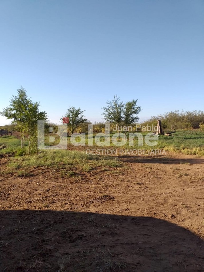 EN VENTA - CAMPO 4975 Has.- LIMAY MAHUIDA - LA PAMPA