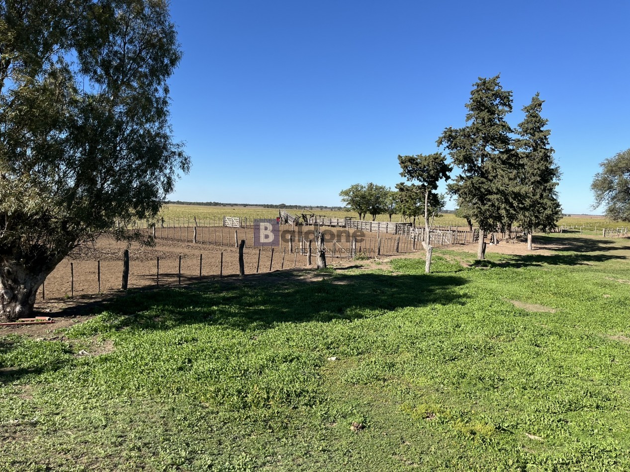 EN VENTA CAMPO 600 HAS - DPTO CAPITAL LA PAMPA