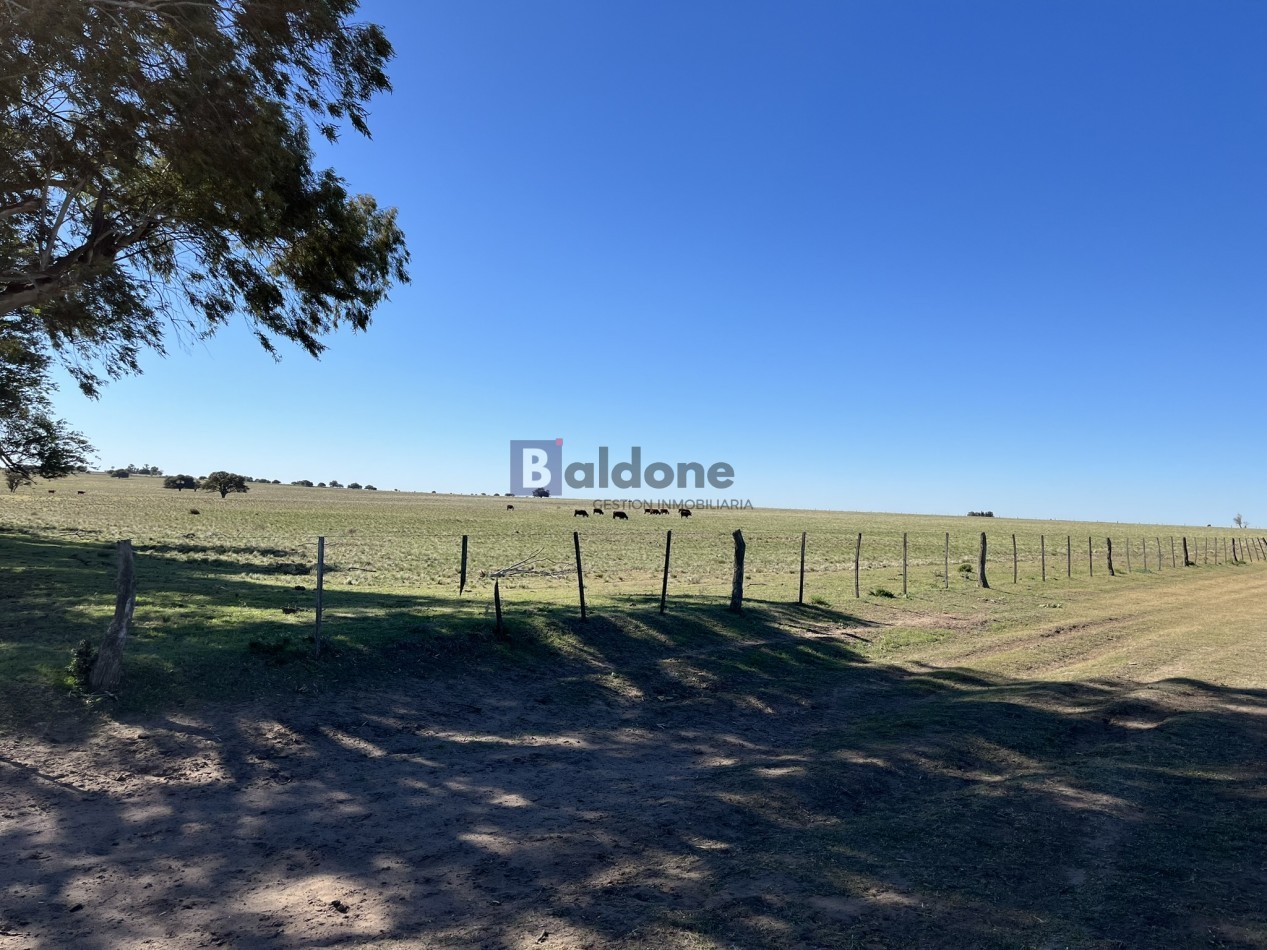EN VENTA CAMPO 600 HAS - DPTO CAPITAL LA PAMPA