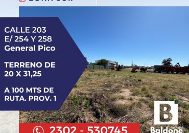 TERRENO EN VENTA EN ZONA SUR - Calle 203 e/ 254 y 258 - Gral. Pico - La Pampa