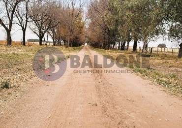 840 has - Sobre RN 35 - Sta Rosa - Dpto. Capital - La Pampa