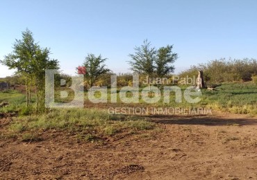 EN VENTA - CAMPO 4975 Has.- LIMAY MAHUIDA - LA PAMPA